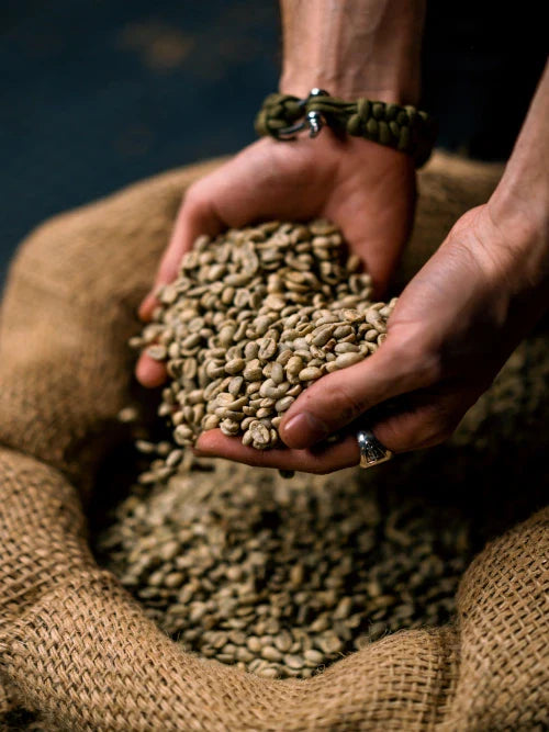 man holding coffee beans