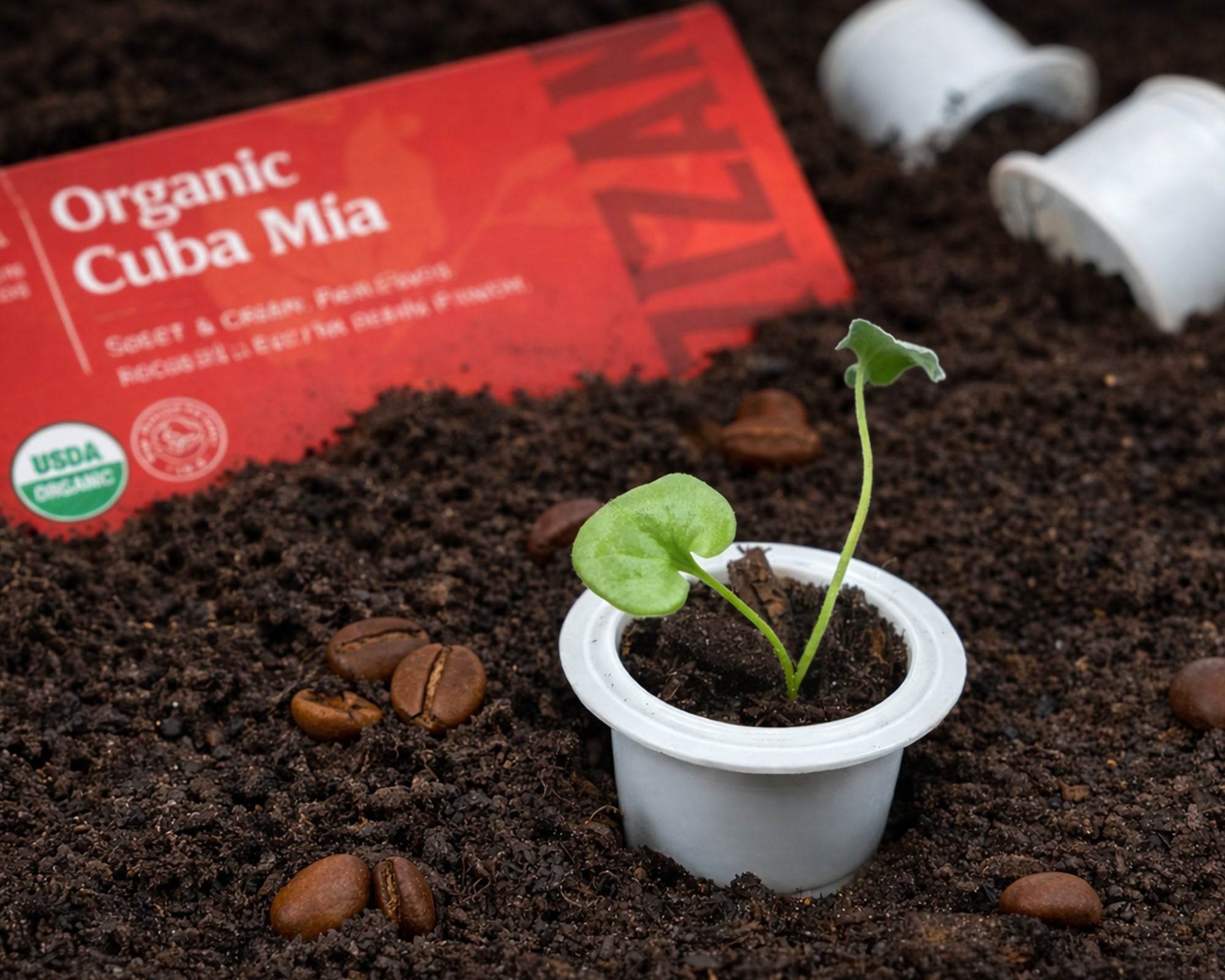 Artizan compostable coffee capsule used as a planter with seedling growing in soil and Organic Cuba Mia box partially visible in background