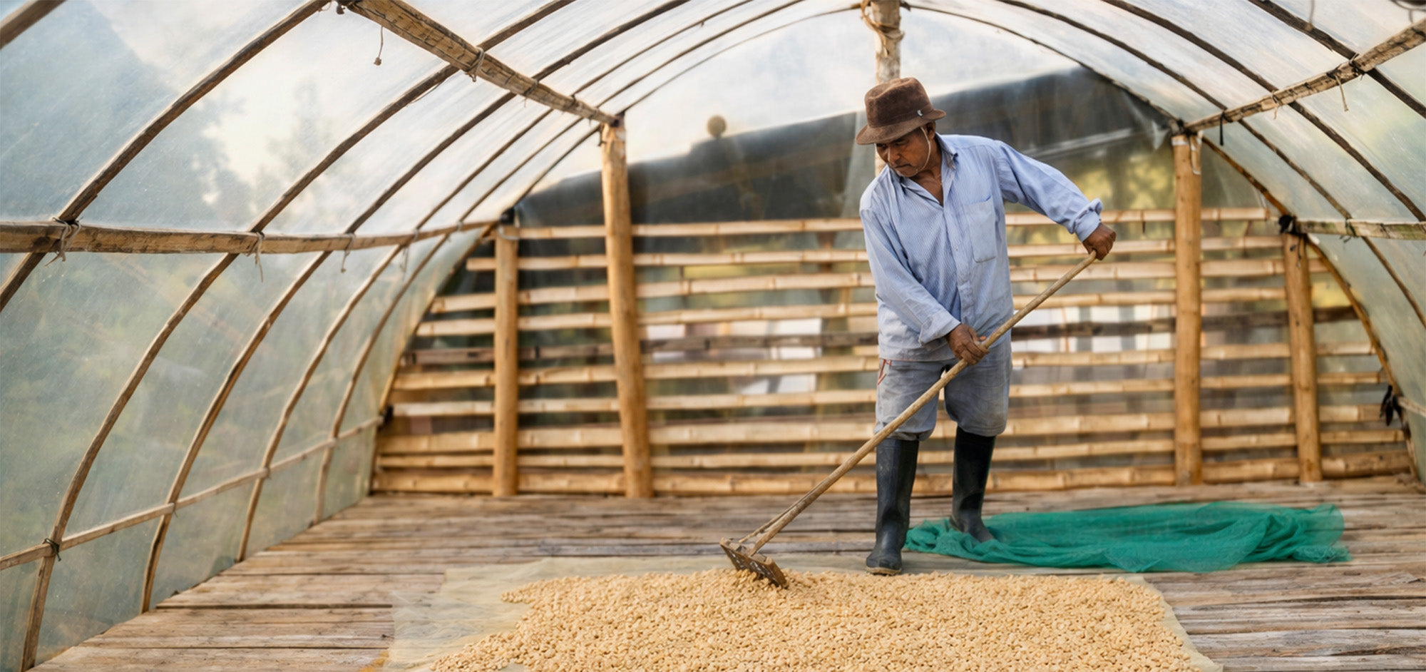 Cooperativa de Caficultores del Cauca