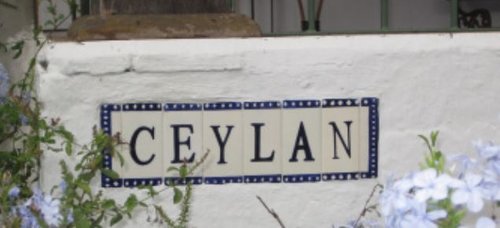 Usda Organic Coffee SHB Ceylan Guatemala Ceylan