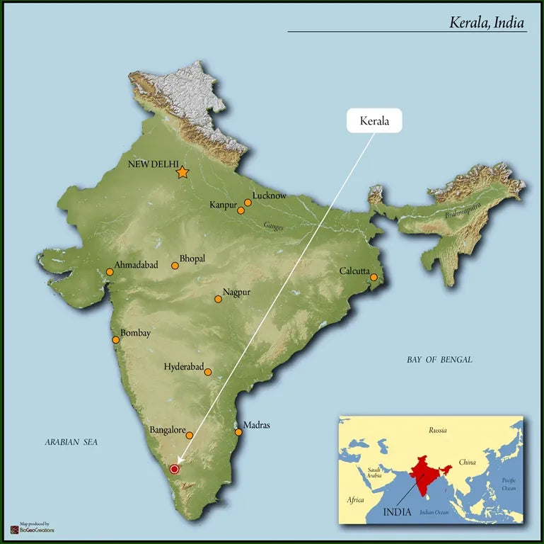 Map of India highlighting the state of Kerala in the southwest. Major cities including New Delhi, Bombay, Bangalore, Hyderabad, and Calcutta are marked, with an inset showing India’s position in Asia between the Arabian Sea and the Bay of Bengal.