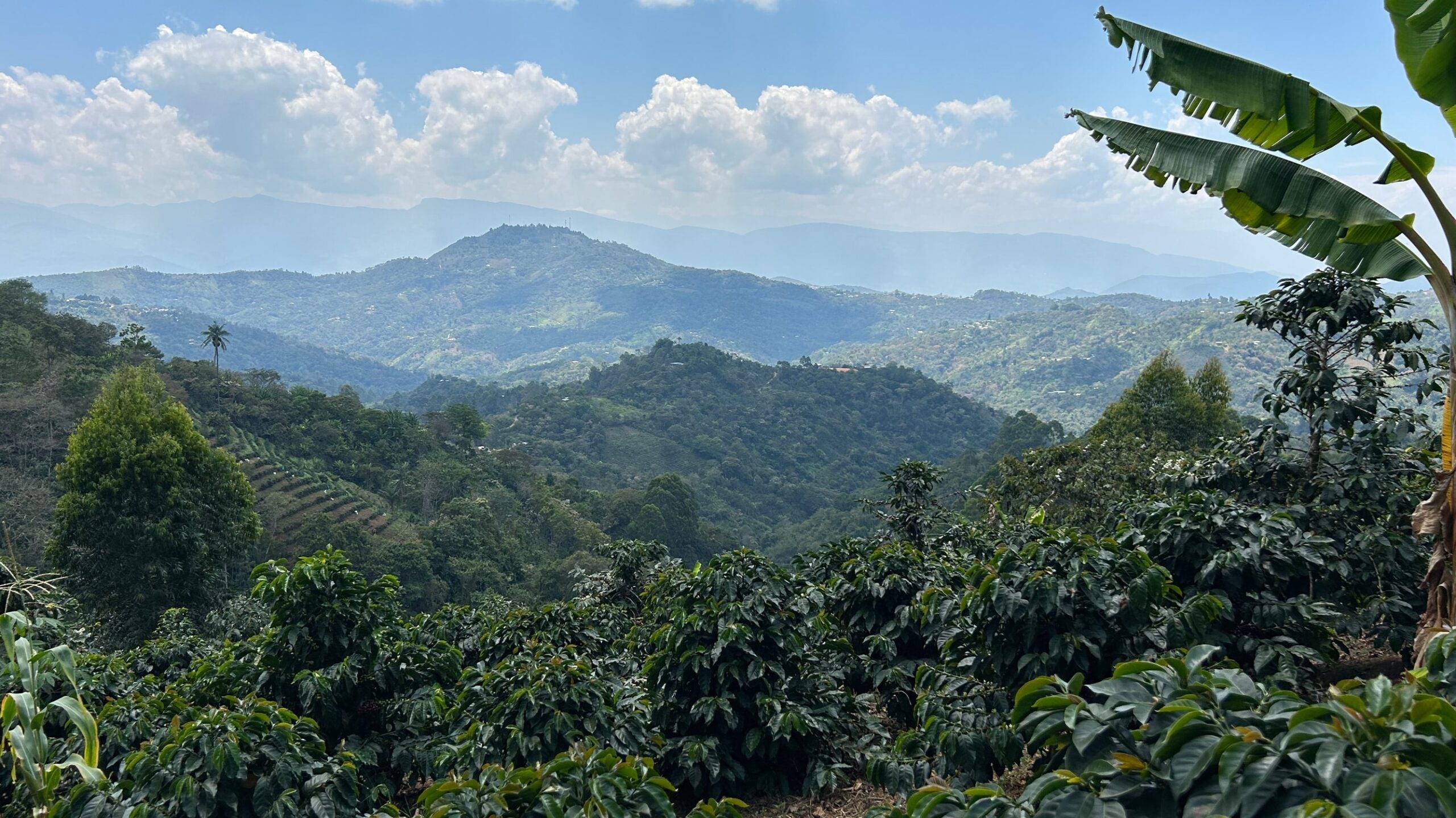 Lush mountainous landscape in Peru’s coffee-growing region