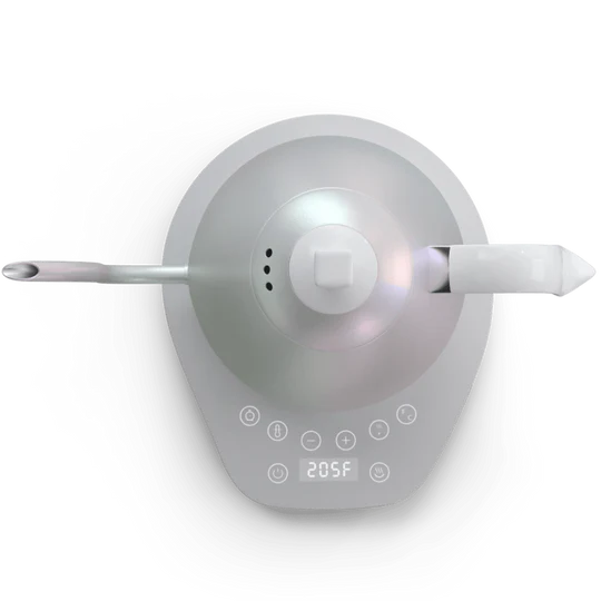 Artisan Electric Gooseneck Kettle