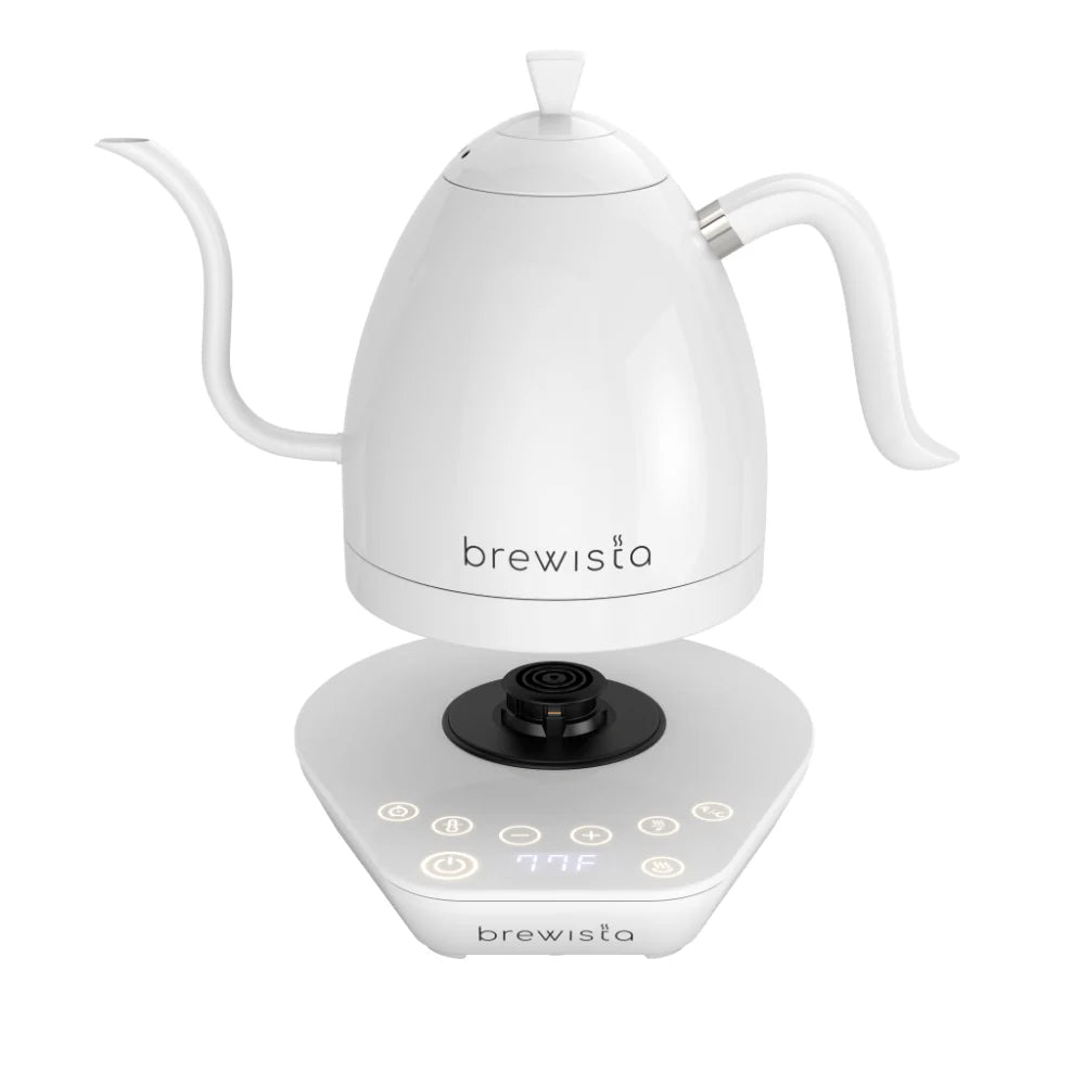 Artisan Electric Gooseneck Kettle All White