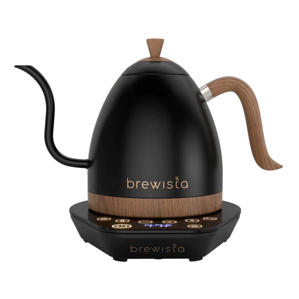 Artisan Electric Gooseneck Kettle -Matte Black