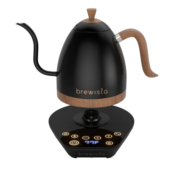 Artisan Electric Gooseneck Kettle -Matte Black
