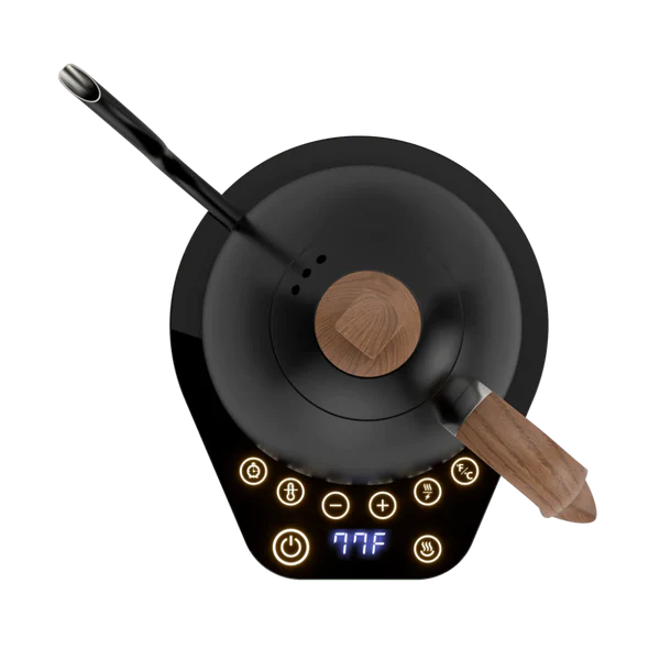 Artisan Electric Gooseneck Kettle -Matte Black