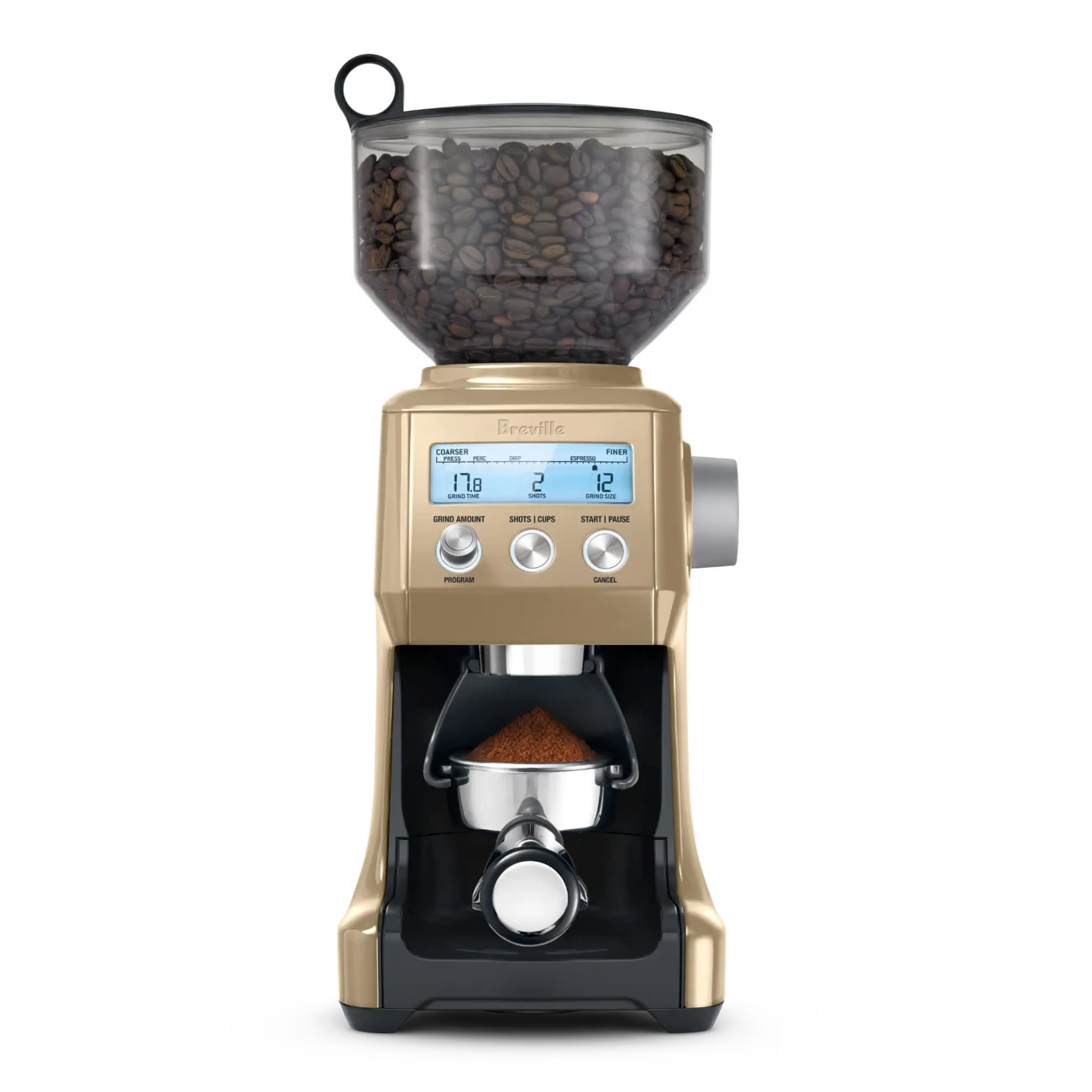 Royal Champagne Variant Breville The Smart Grinder Pro