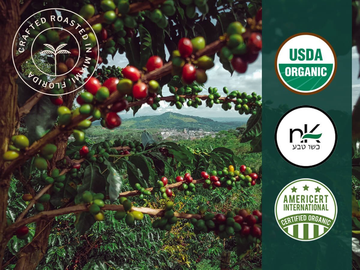 Image of “Crafted and Roasted in Miami, Florida” with USDA Organic, Fairtrade, and Americert logos over a scenic organic coffee farm with coffee beans on a tree.