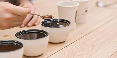 Scooping coffee using Professional stainless steel coffee cupping spoon by Artizan Coffee Gear, side angled view