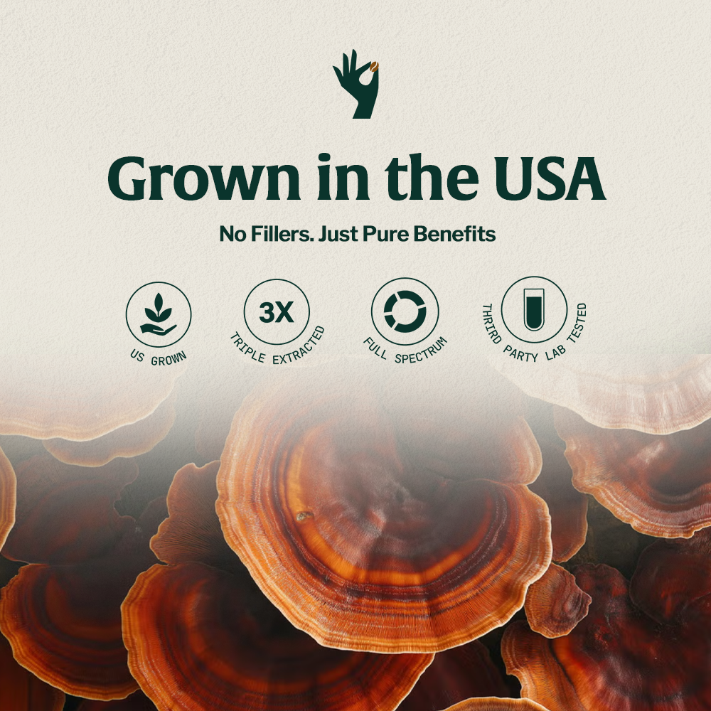 Mushrooms with text promoting health benefits, sourced and extracted in the USA.