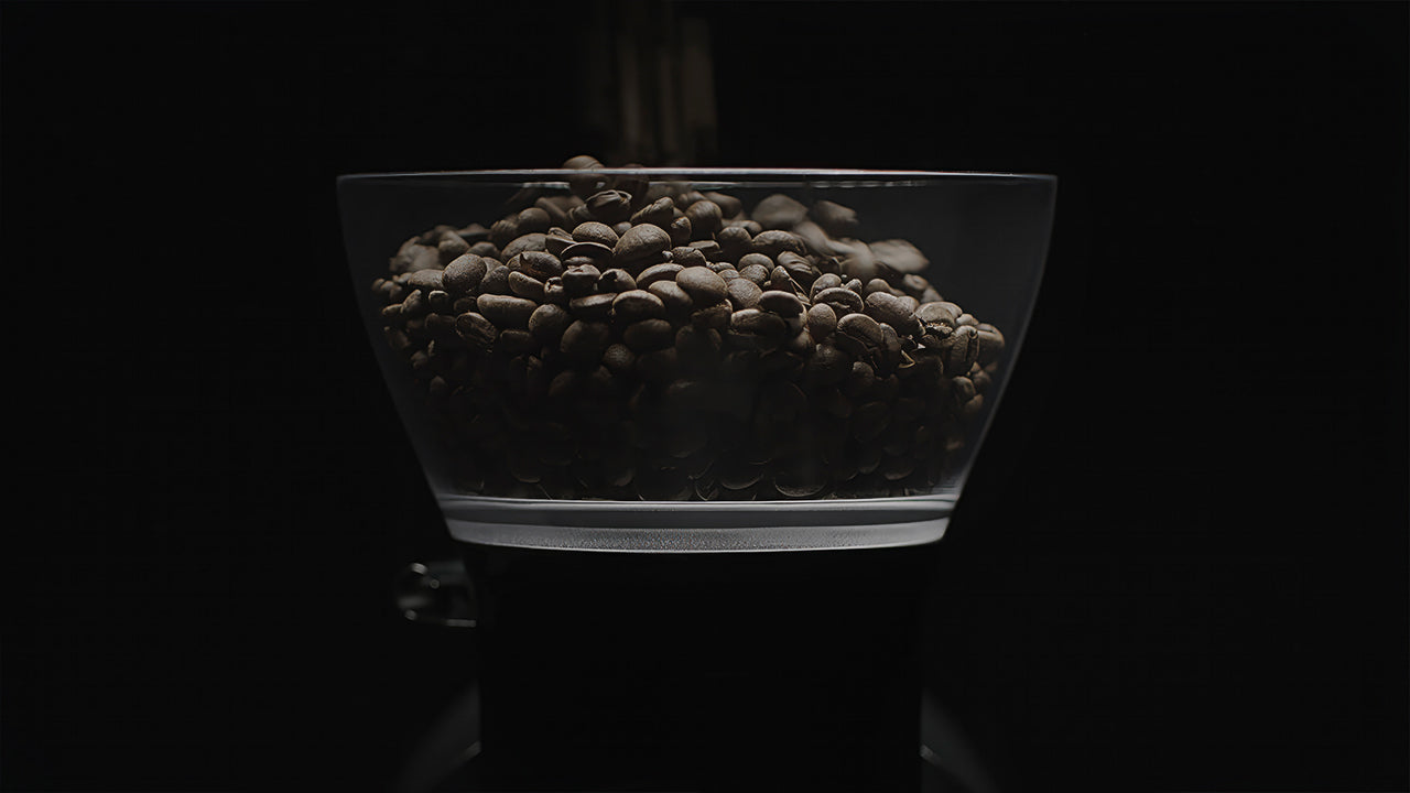 Transparent hopper filled with roasted coffee beans on top of a commercial coffee grinder, showcasing freshness and quality.
