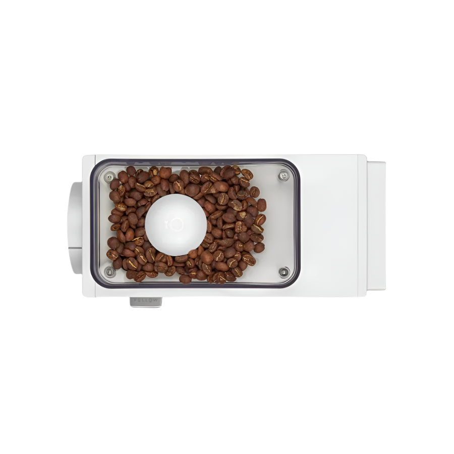 Top image of white variant Ode Brew Grinder Gen 2 showing on where to put the coffee beans