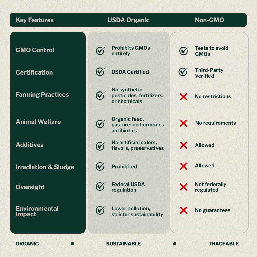 Organic Hemp Coffee Fusion