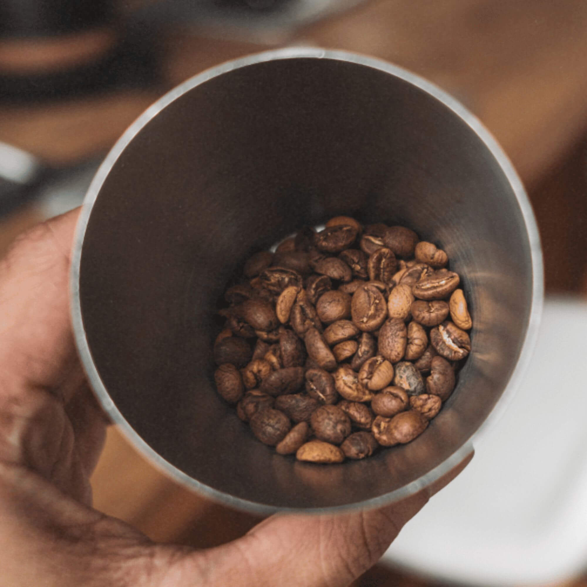 Hand holding a metal cup filled with roasted coffee beans
