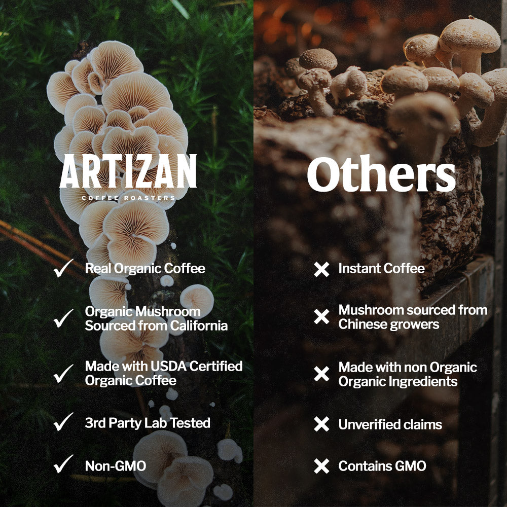 This is a comparison image, so we’ll optimize it for search terms like organic mushroom coffee vs instant coffee and brand differentiation — without overstuffing.
