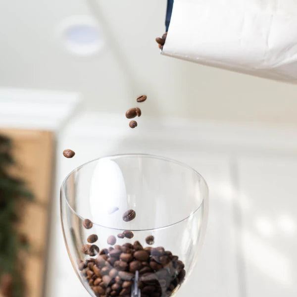 ASCASO I-MINI FLAT BURR HOME COFFEE GRINDER, 54MM