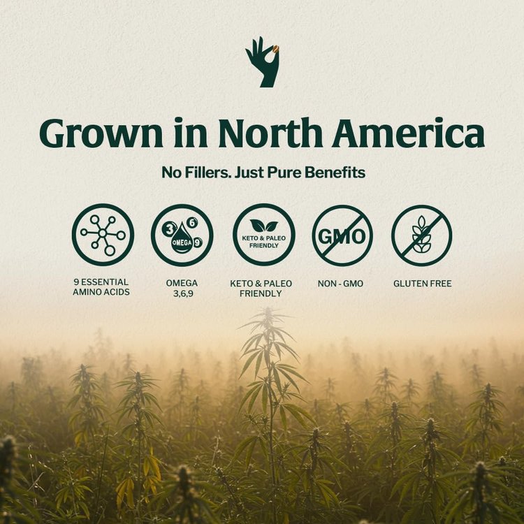 Organic Hemp Coffee Sachets Espresso - Grown in North America