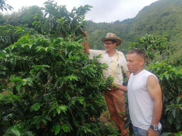 Asociación de Agricultores y Productores de Café Especial de Montalvo (AGPROCEM)