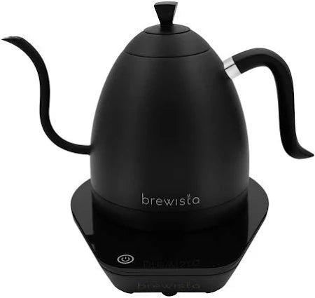 Artisan Electric Gooseneck Kettle -black