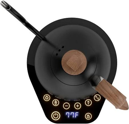 Artisan Electric Gooseneck Kettle -black