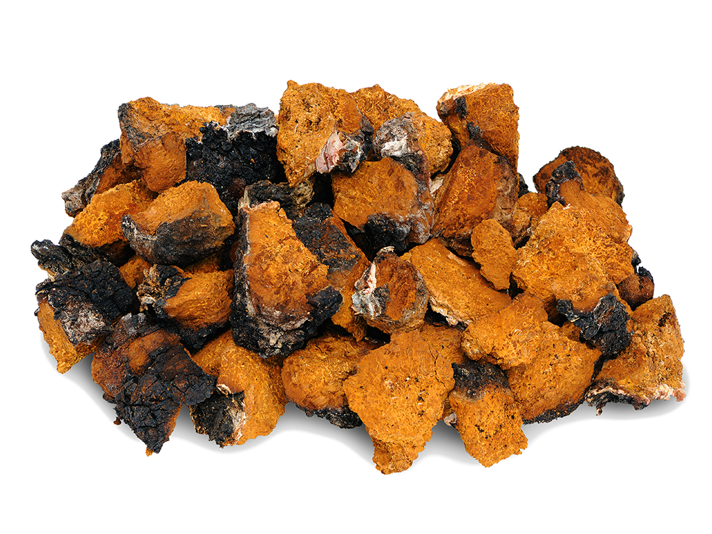 Image of Chaga Mushroom as Ingredient of Organic Mushroom Coffee.