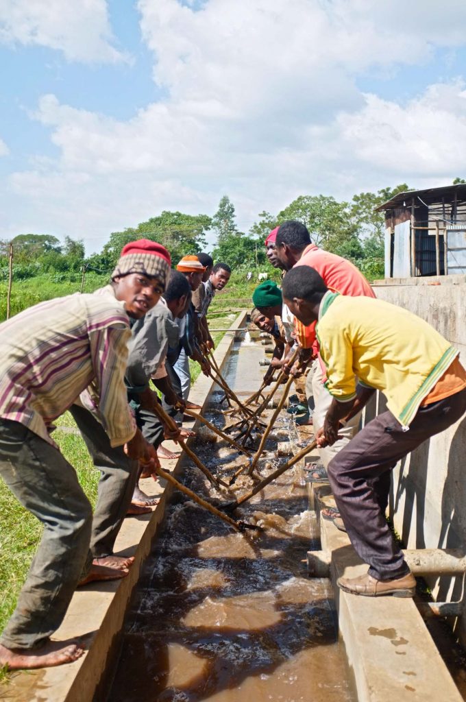 A group of Ethiopian coffee workers using wooden paddles to wash and stir coffee beans in a concrete channel at a wet mill, under a bright sky.