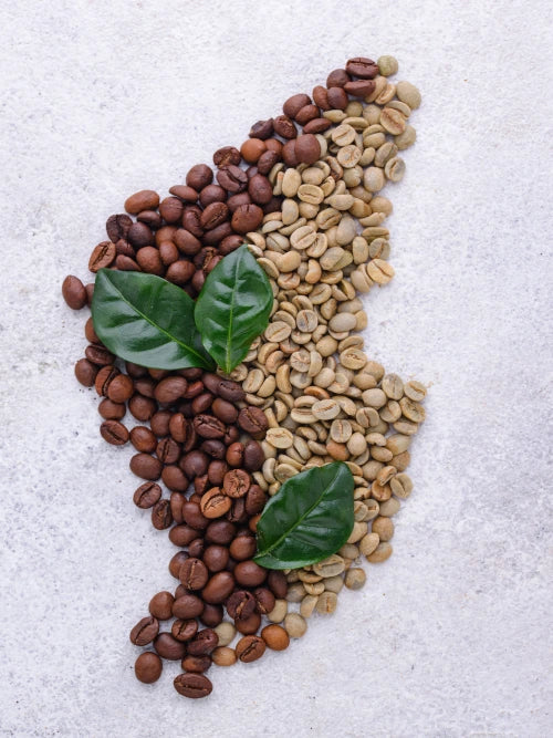 Green and Brown coffee beans