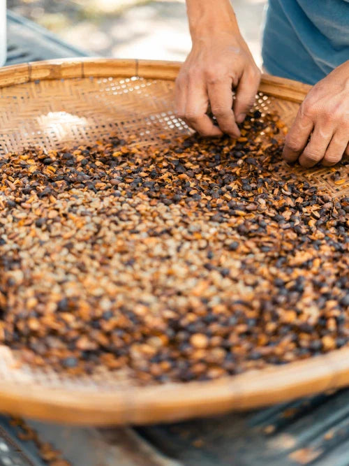 naturally husked coffee beans in a bamboo tray