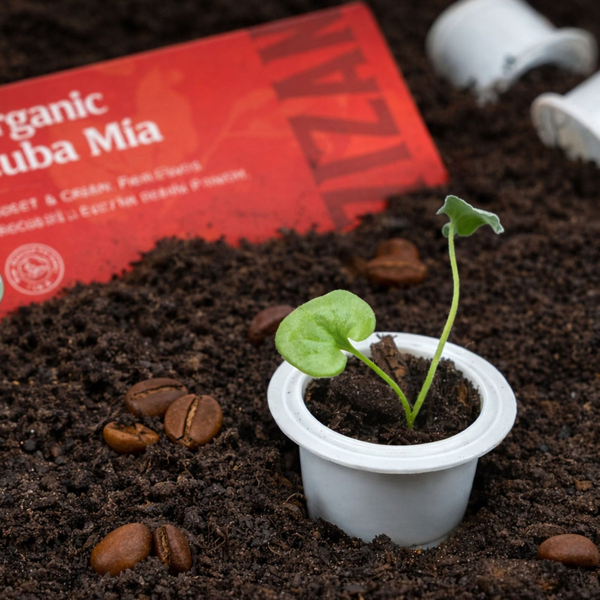 Compostable ESE Coffee Pods  Zero Waste, Organic Brewing