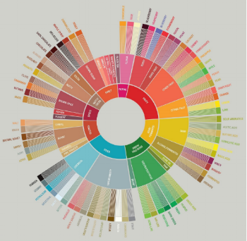 Image of the SCA Coffee Tasting Cupping Wheel