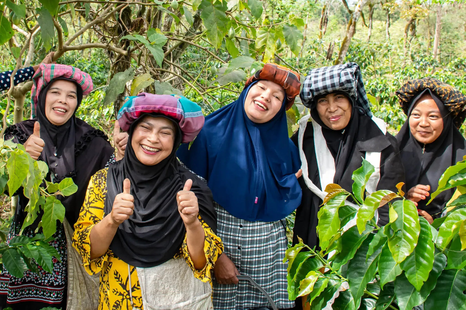 Koperasi Pedagang Kopi Ketiara