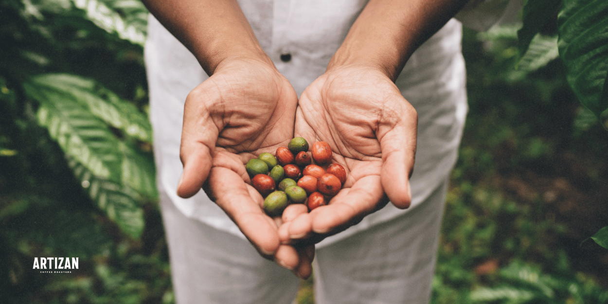 a man holding coffee beans