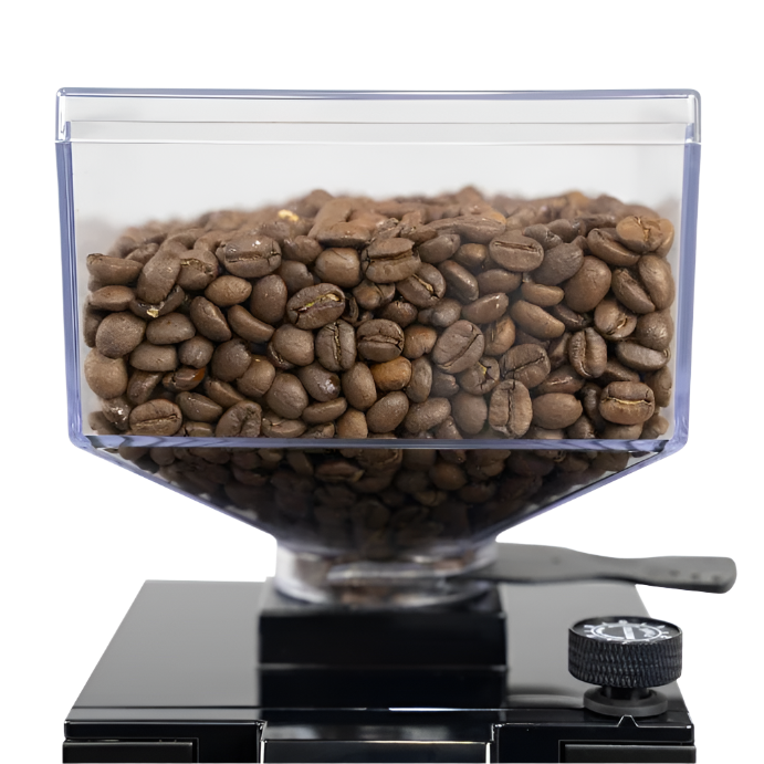 Close-up look at the hopper of Eureka Mignon Silenzio Espresso Grinder