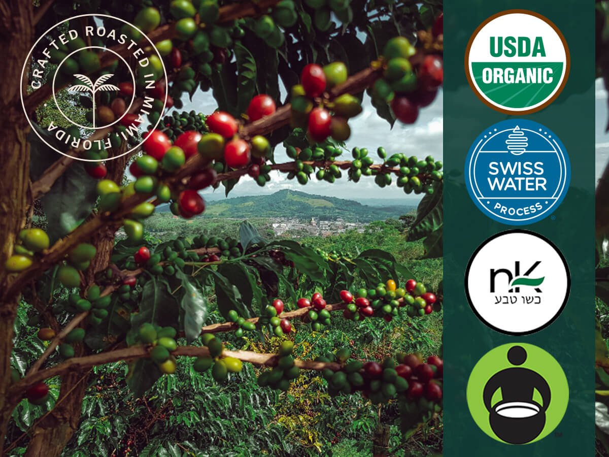 Coffee cherries on trees with certification badges and a scenic background.