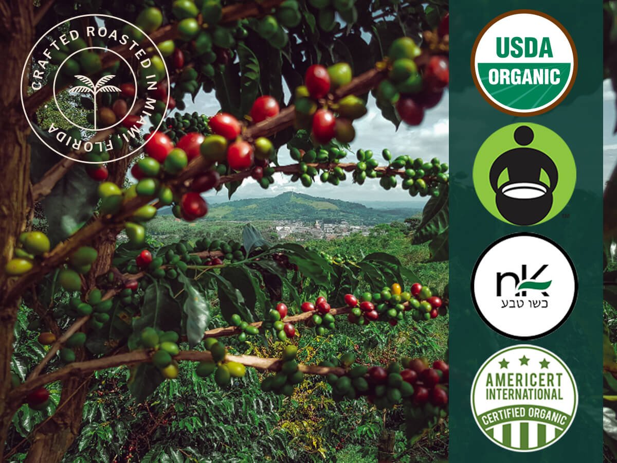 Organic Cuba Mia Espresso ESE Coffee Pods, Dark Roast - 18 Pods