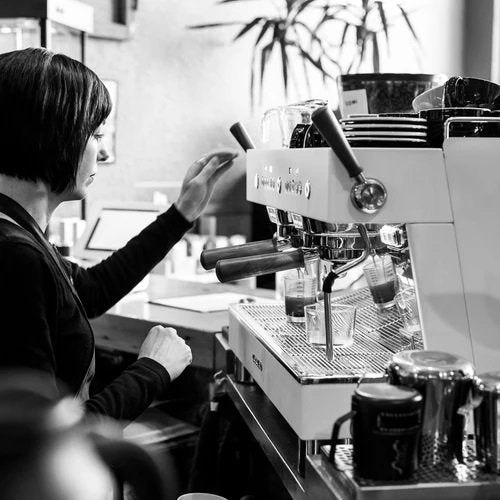 Ascaso Barista T Plus Automatic 2 Group Espresso Machine