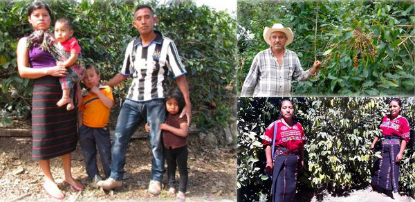 The Association of Specialty Coffee Producers of Huehuetenango (ASOPCE)