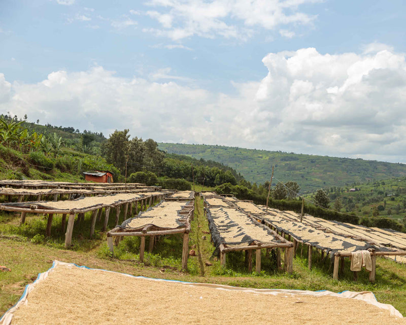 Hafursa Cooperative