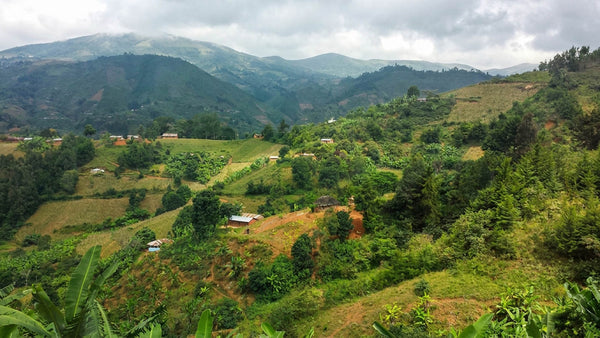 Various smallholder farmers in Tanzania