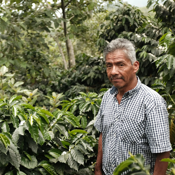 Grupo de Asesores de Producción Orgánica y Sustentable (GRAPOS)