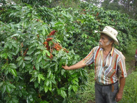 Hacienda la Amistad