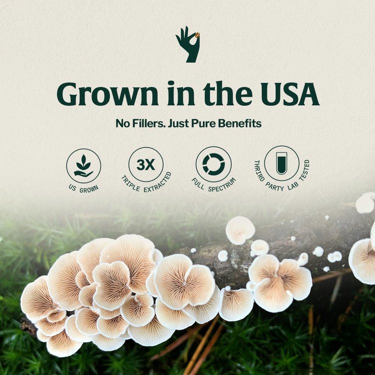 Organic Mushroom Coffee Sachets Espresso - Grown in the USA