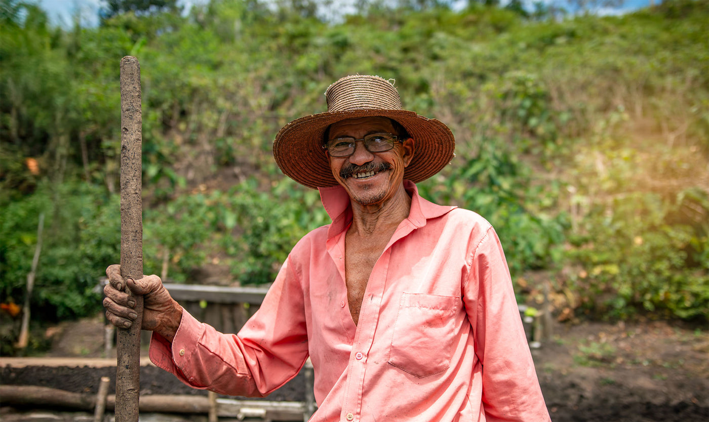 Smallholder Farmers Across Southern Mexico