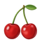 Dried Fruit