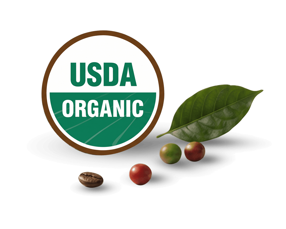USDA Organic Logo with leaves, roasted coffee bean and coffee cherries 