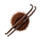 Vanilla